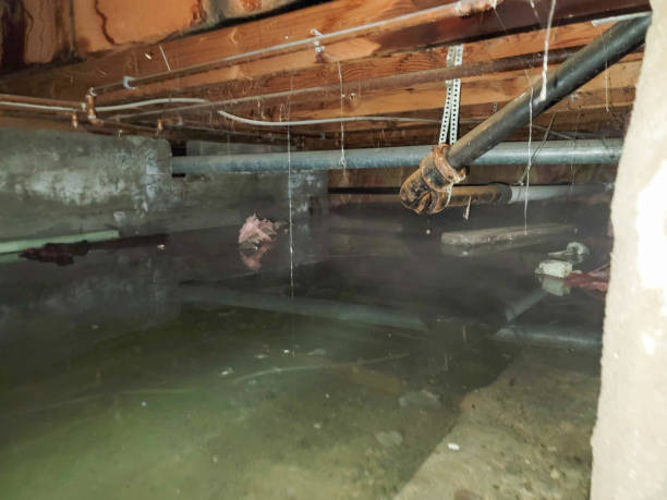 Best Water damage restoration near me  in Moss Bluff, LA