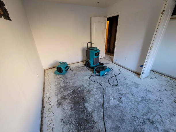Best Ceiling water damage repair  in Moss Bluff, LA