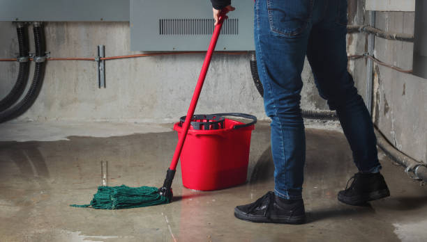 Best Flood damage cleanup  in Moss Bluff, LA