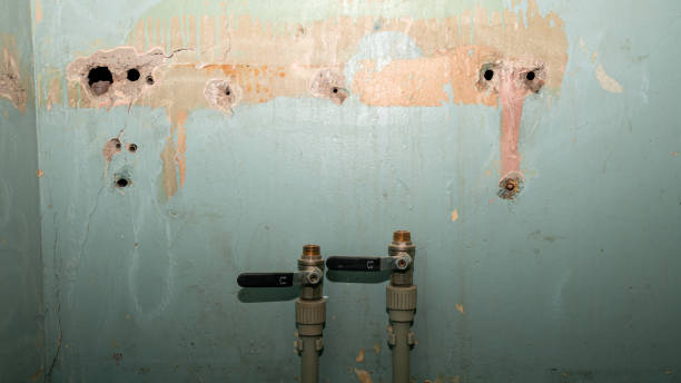 Best Basement water damage restoration  in Moss Bluff, LA