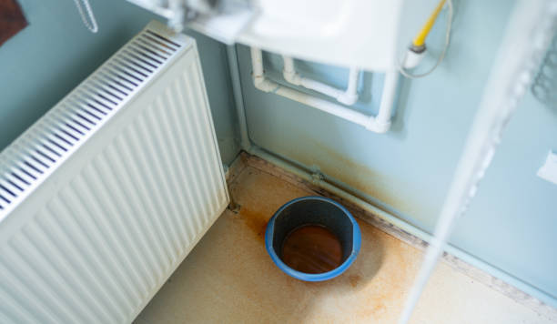 Best Professional water damage repair  in Moss Bluff, LA